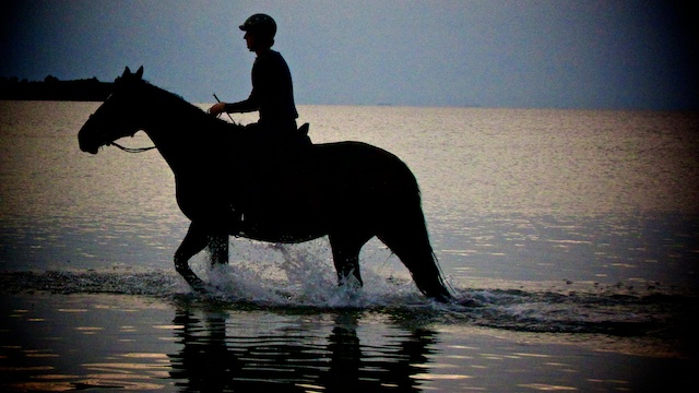 Entspanntes Reiten auf der Ostseeinsel Aerö