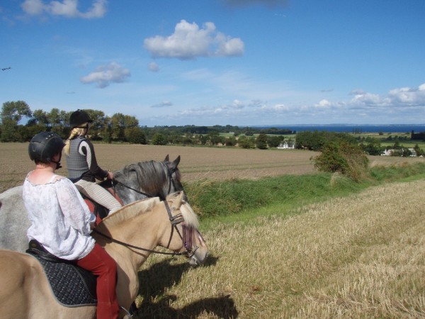 Reiten im Urlaub auf Aerö