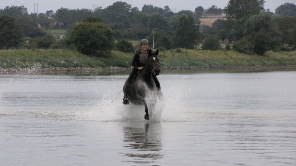 Reiten im Urlaub auf Aerö